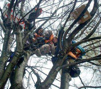 Tree protesters at Israeli embassy